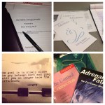 Classes & Mindset Therapy.